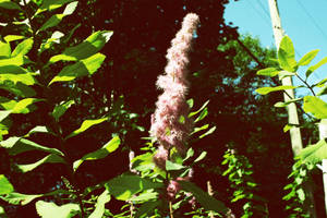 Calm by xo-sensation