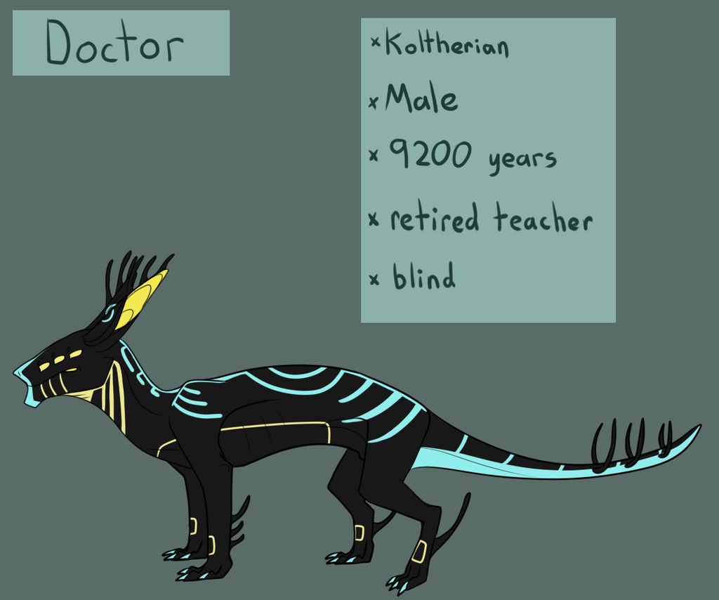 Doctor Reference Sheet by Noodle-Drake