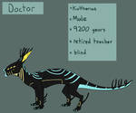 Doctor Reference Sheet by Noodle-Drake