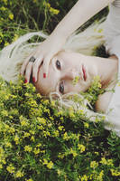 take you away by Rinksy