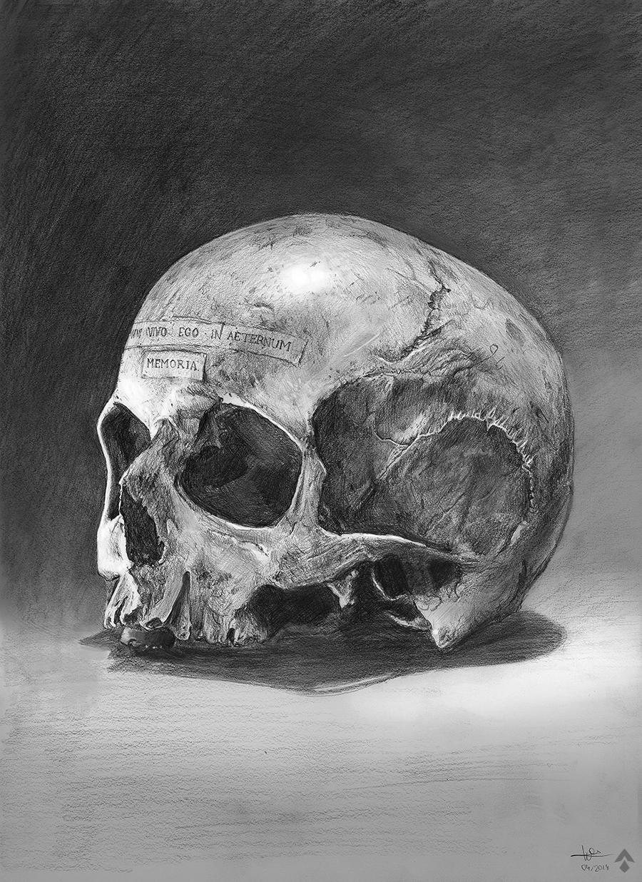 Skull Memoria by DesignSpartan
