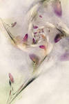 Janet Parke - Winterberries by aartika-fractal-art