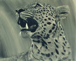 Leopard Portrait Charcoal by ablaise