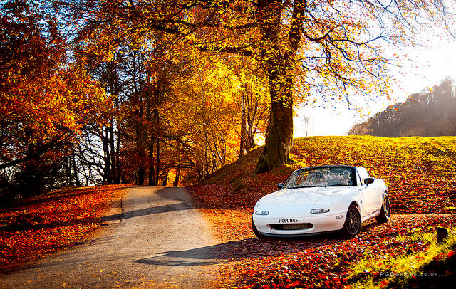Autumn driver by PGDsx