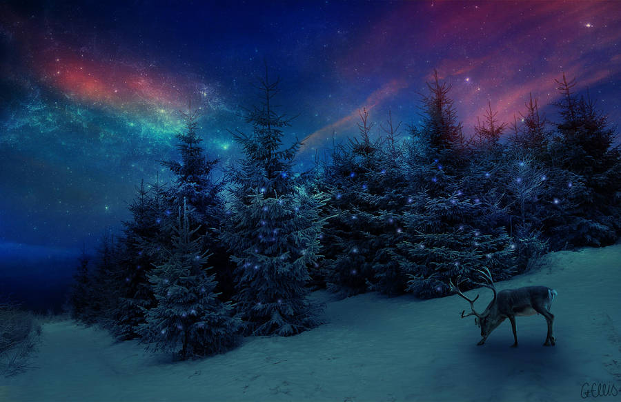 Christmas by gemlovesyou Christmas by gemlovesyou