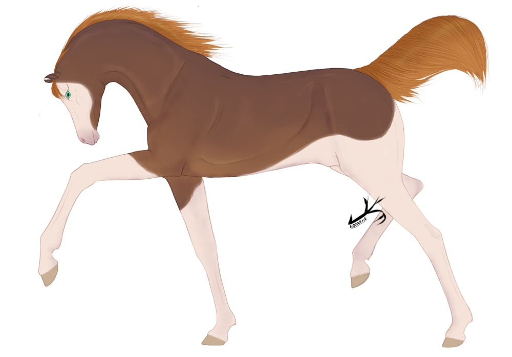 Caelum #3 by ElderiaArts