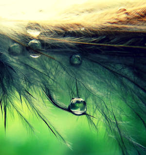 The Underworld by ForeverLilly The Underworld by ForeverLilly