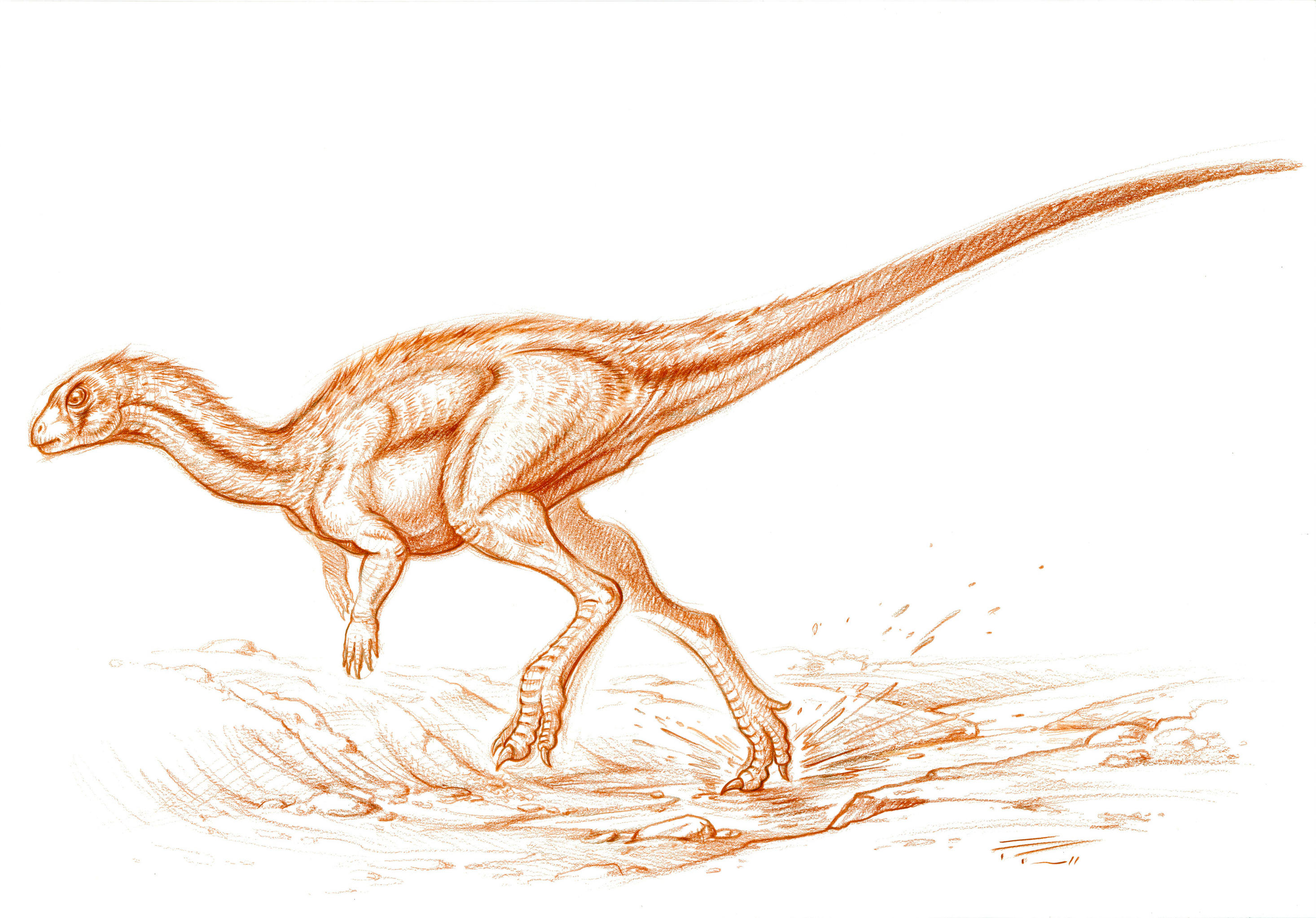 Othnielosaurus by PaleoPastori