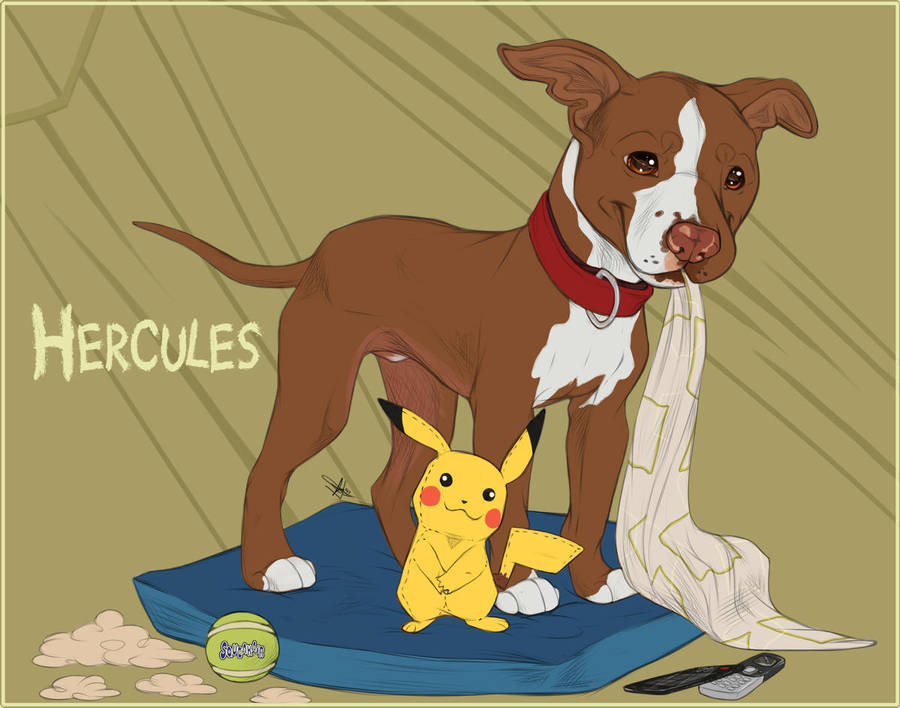 Flash Portraits - Herc The Hercules + Video!! by GoPuppy