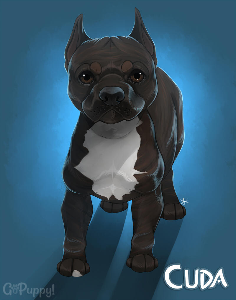 Cuda + Video! by GoPuppy