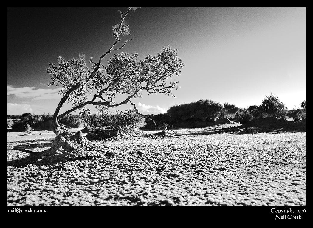 Contrasts by neilcreek