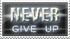 never give up by Pushok-12