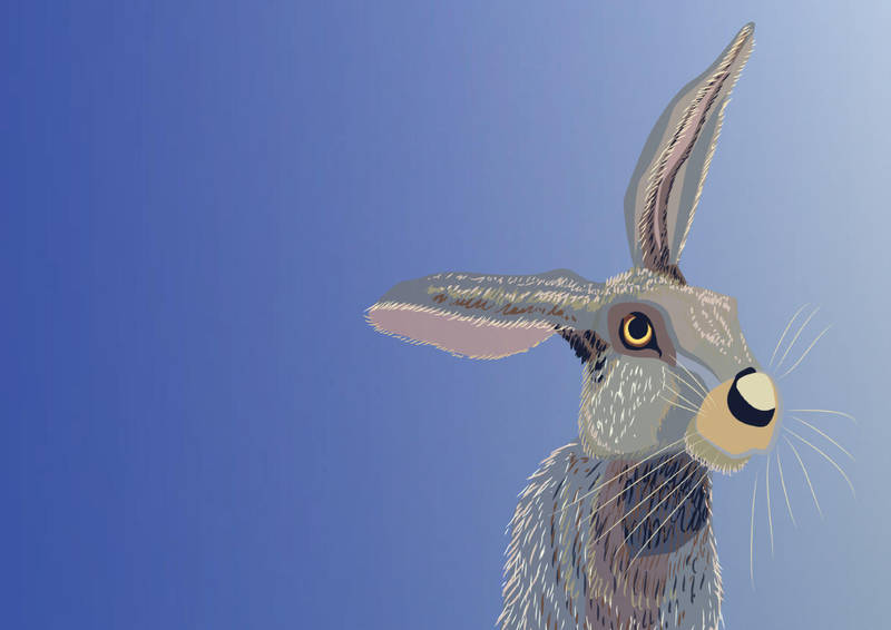 Easter Card: Cousin Softnose by Starsong-Studio