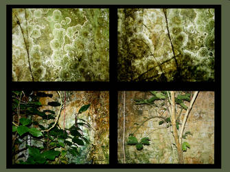 Growning up the Wall by Jungle-UrbanWarrior