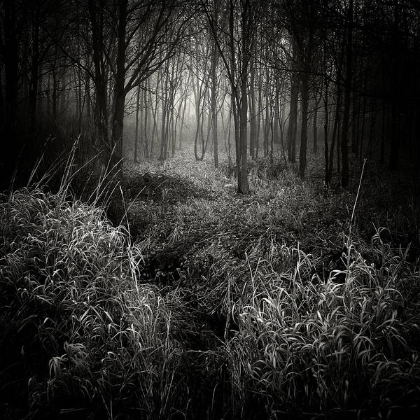 Invitation to insomnia by WiciaQ