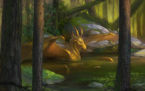 Golden light by Kuroi-kisin Golden light by Kuroi-kisin