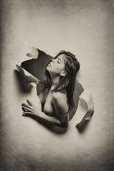 Smell of freedom by silvestru