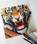 Tiger WIP by Quelchii