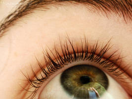 Wish Upon An Eyelash II by Rosavynne