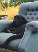 sympathetic semptember by AbyssalSalute