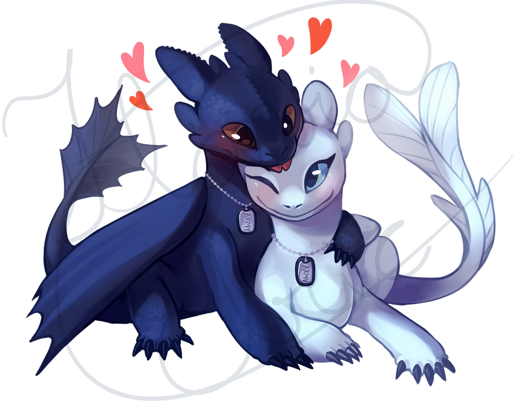 Night Fury And Light Fury Love