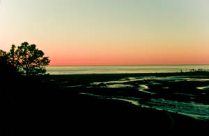 Such Great Heights by OneLuckyAliCat