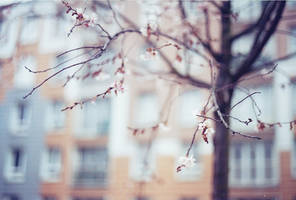 Le printemps. by leingad