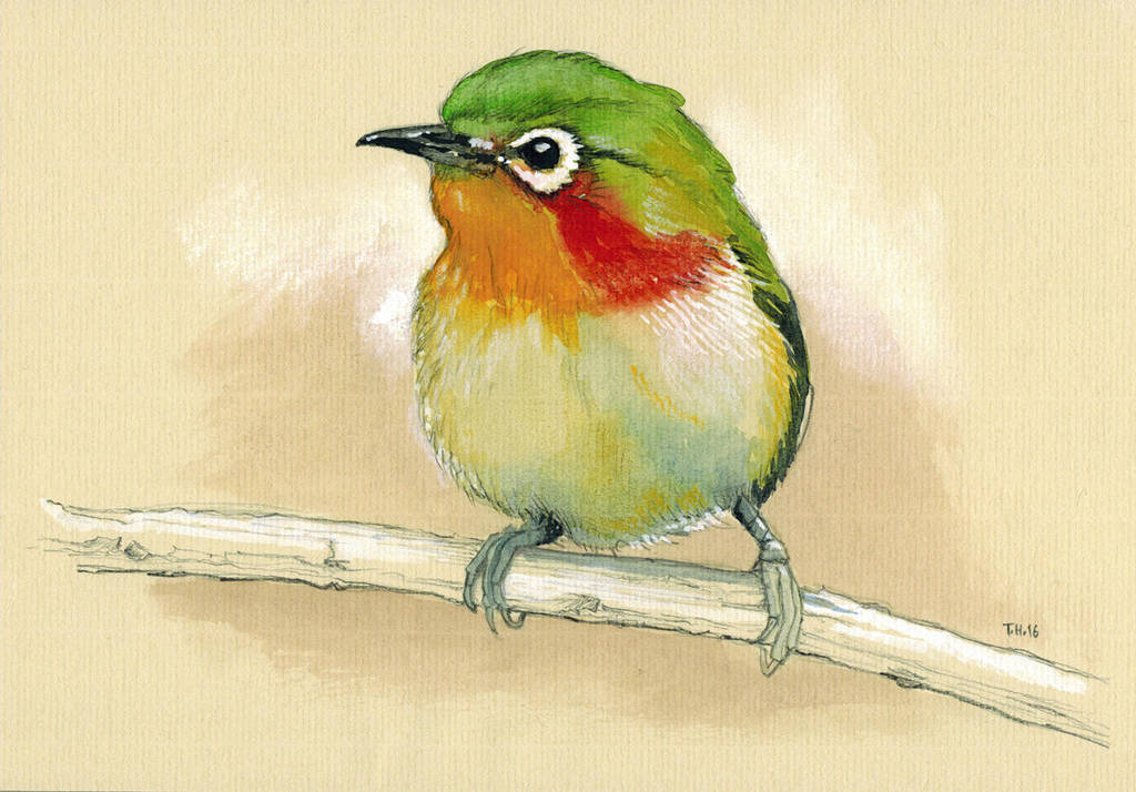 Bird Piepmatz by popChar Bird Piepmatz by popChar