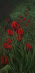 Tulips by VivalaVida