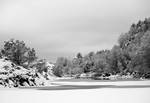 Black and white winterland by fotojenny