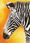 Day 23: Grevy's Zebra ACEO by whitetippedwaves