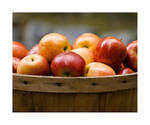 Apples by rscorp