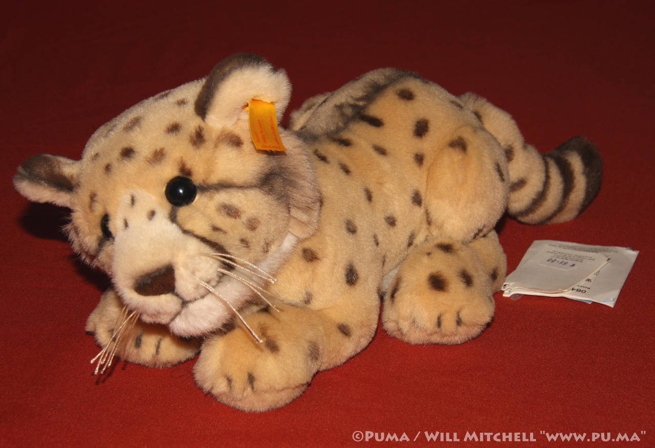 Steiff - Rocco Cheetah Cub plush - EAN 064494 by dapumakat