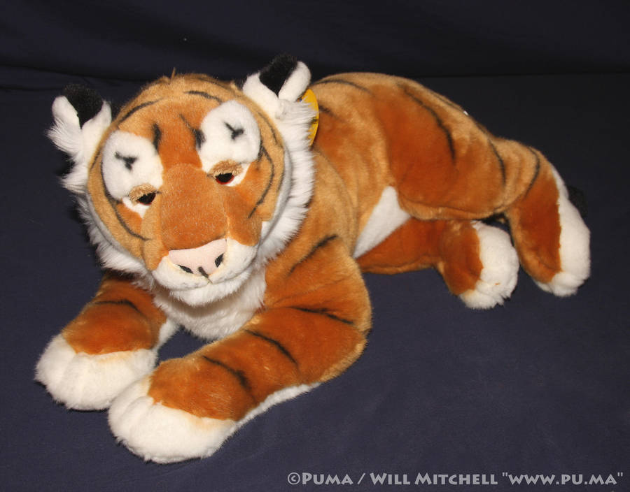 Amiplush Tiger cub plush from Morocco by dapumakat