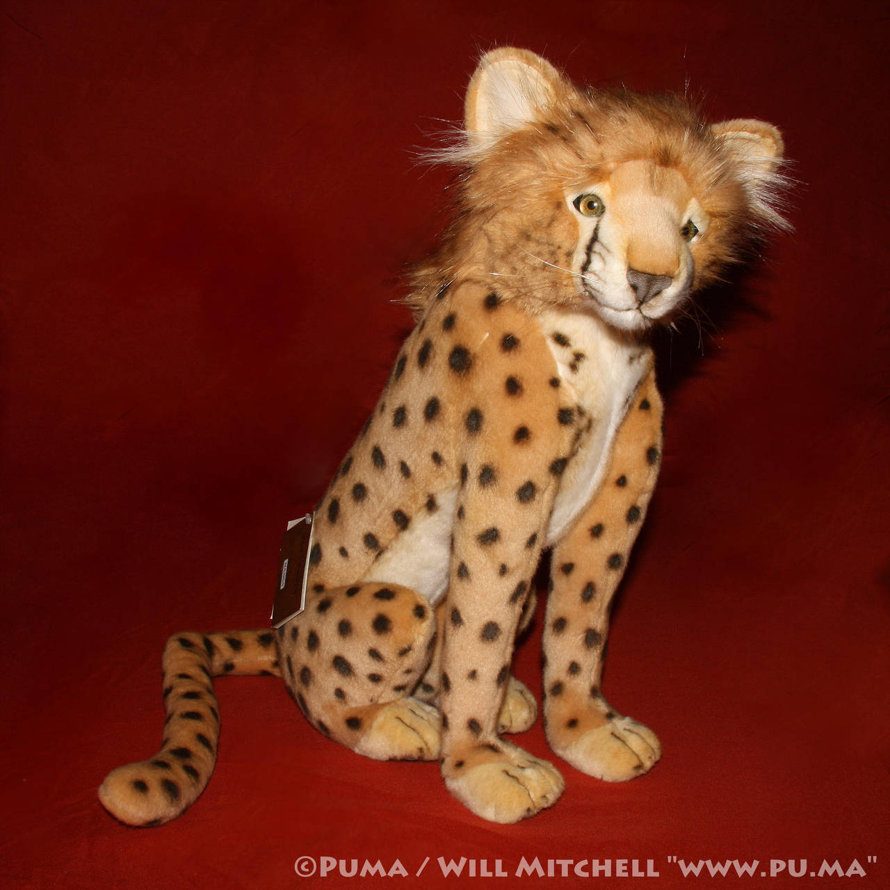 Hansa - Sitting Cheetah cub plush by dapumakat