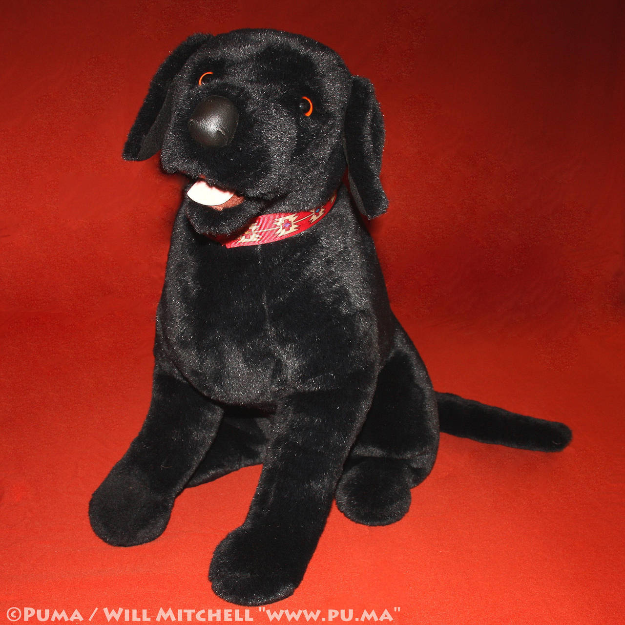 Black Lab plush by Douglas Cuddle Toys - 1990s by dapumakat