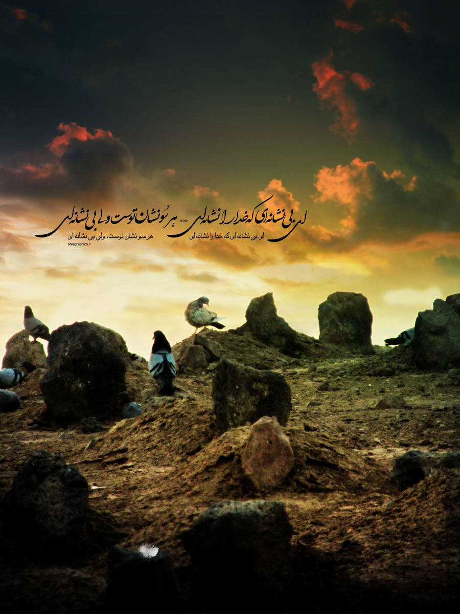 baghi by shiagraphic