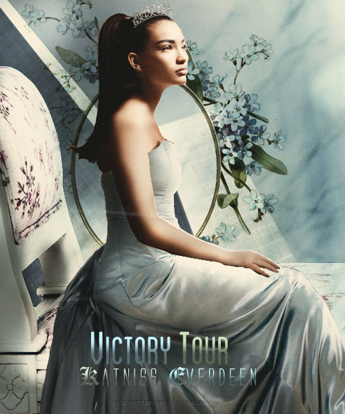 Victory Tour Manip by everafterlark