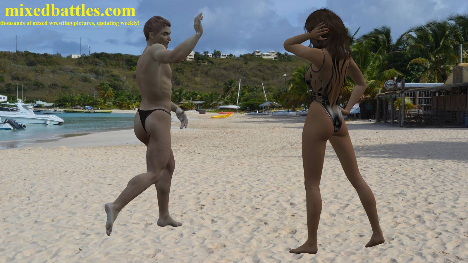 beach_mixed_fighting_by_q1911_dcz7bx0-fullview.jpg