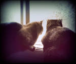 Cats at The Window 2 by surrealistic-gloom