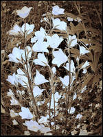 Small Bells In The Garden by surrealistic-gloom