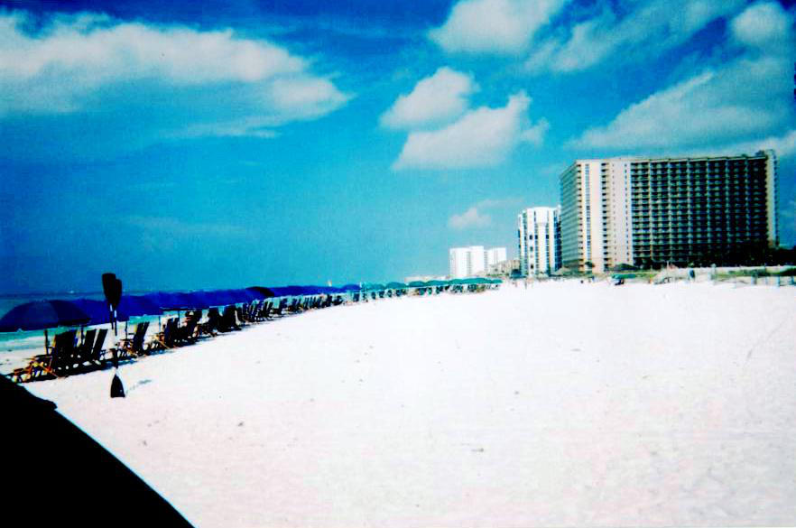 Sunny Days in Florida by randomlettersandword on DeviantArt