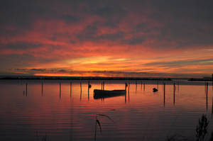 November Sunset. by MarieAndersson