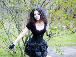 jardin bleu by toxic-nebulae