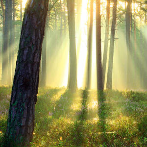 flooding light by indojo flooding light by indojo