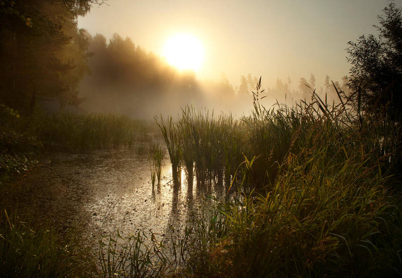 late summer by indojo late summer by indojo