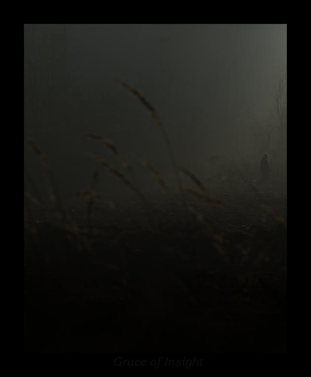 Insight by ionWill