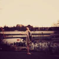 Arrival of the birds by halucynowa