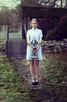 Twin heart by halucynowa