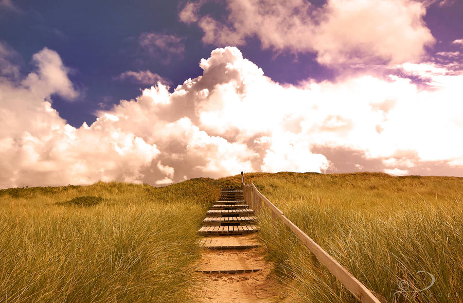 To The Clouds by Linkineos